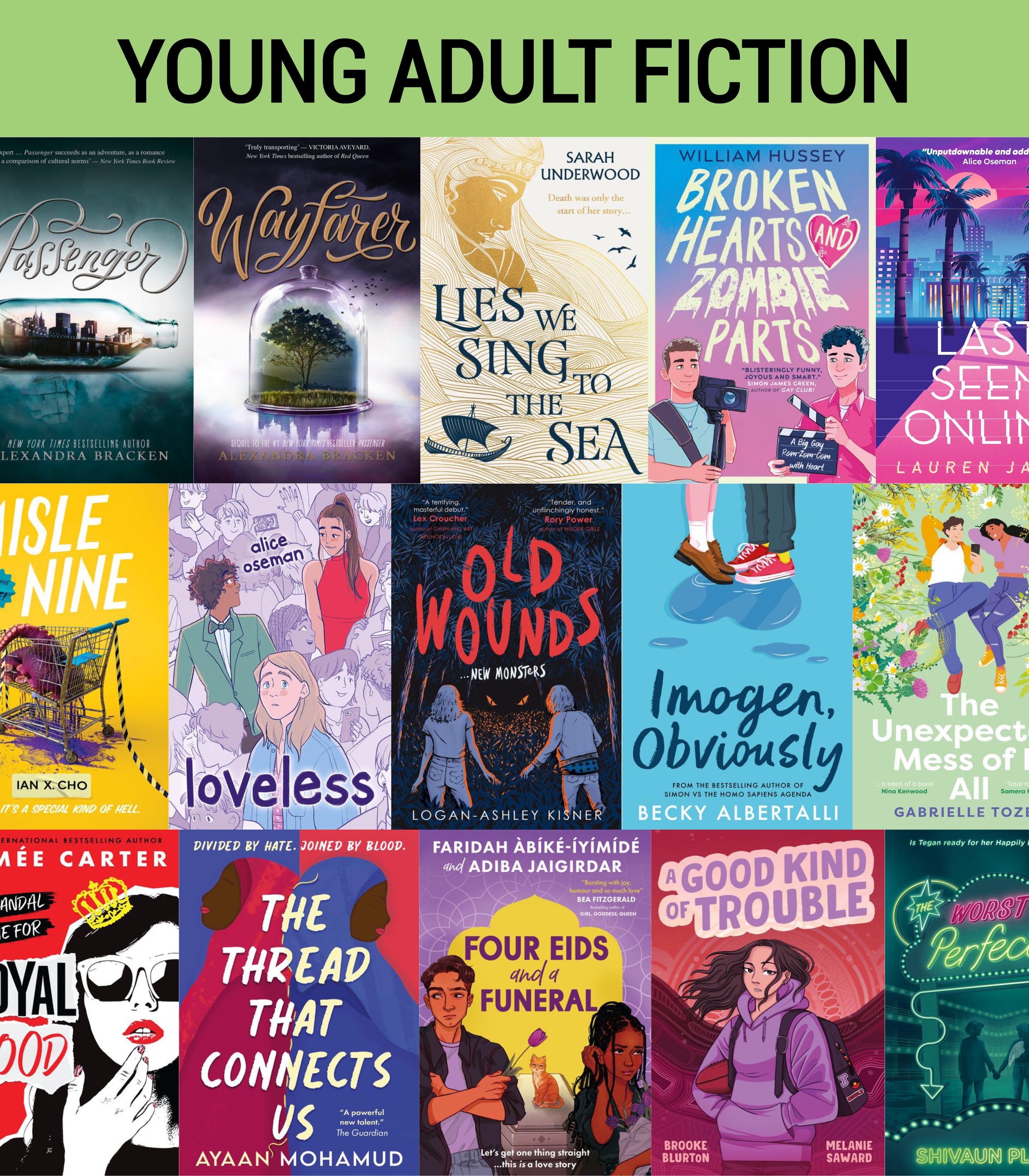 Young Adult Fiction Variety Pack (30 titles)