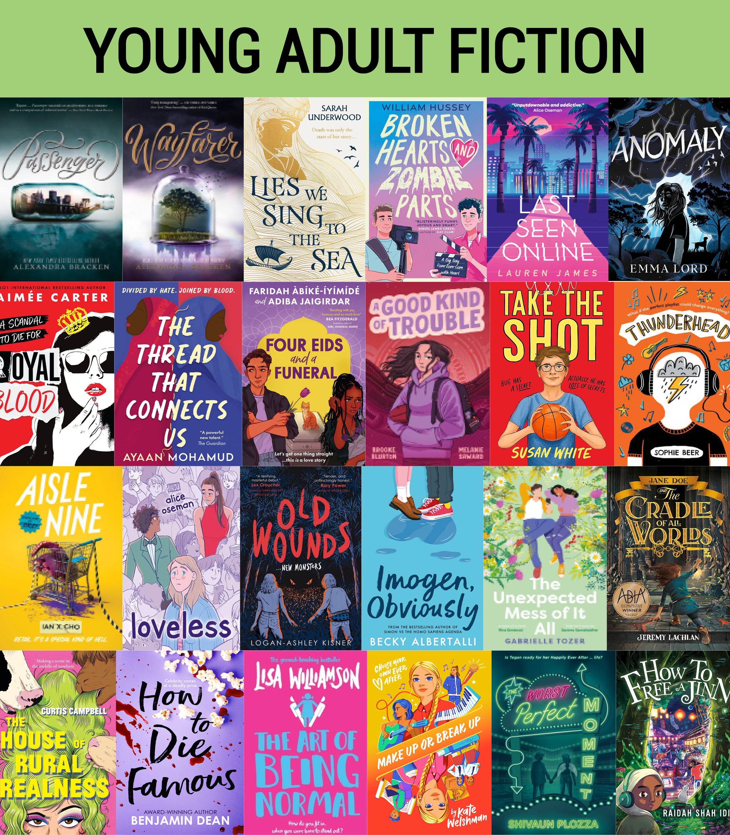 Young Adult Fiction Variety Pack (30 titles)