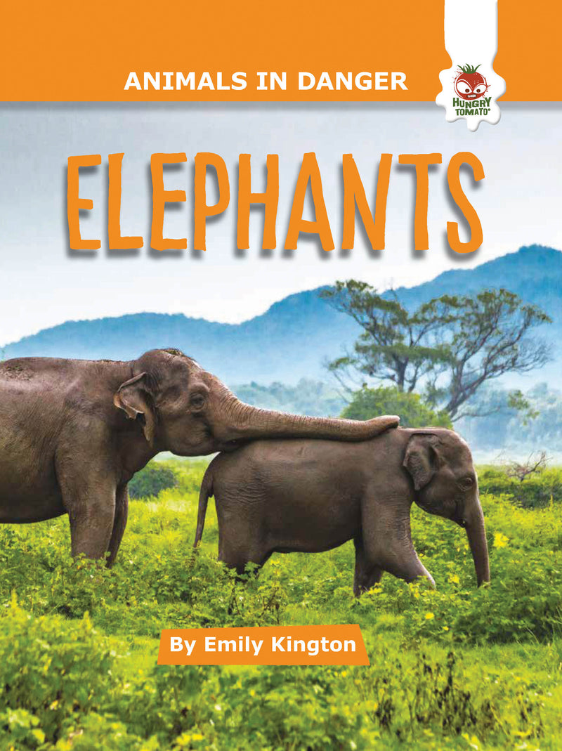 Animals In Danger: Elephants