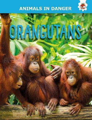 Animals In Danger: Orangutans