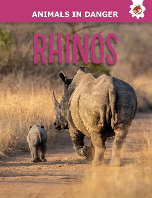 Animals In Danger: Rhinos