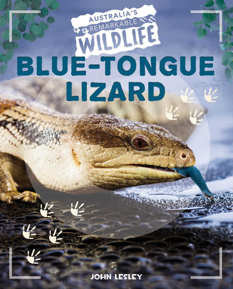 Australia's Remarkable Wildlife: Blue-Tongue Lizard - Hardcover