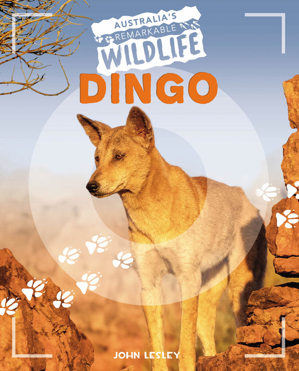 Australia's Remarkable Wildlife: Dingo - Hardcover