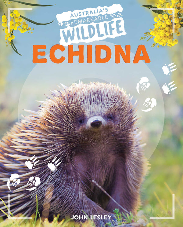 Australia's Remarkable Wildlife: Echidna - Hardcover
