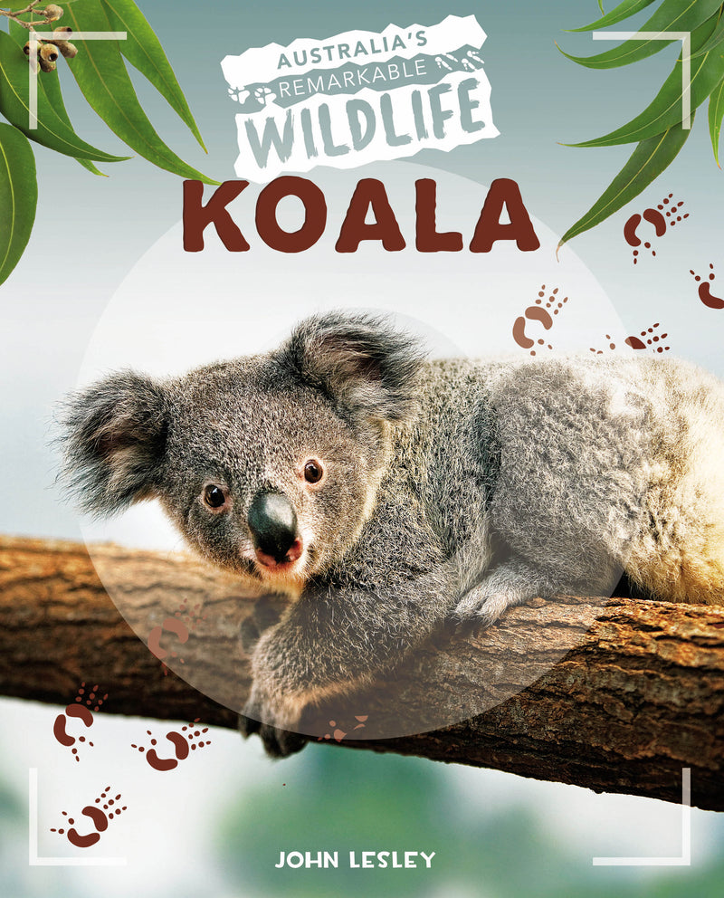 Australia's Remarkable Wildlife: Koala - Hardcover