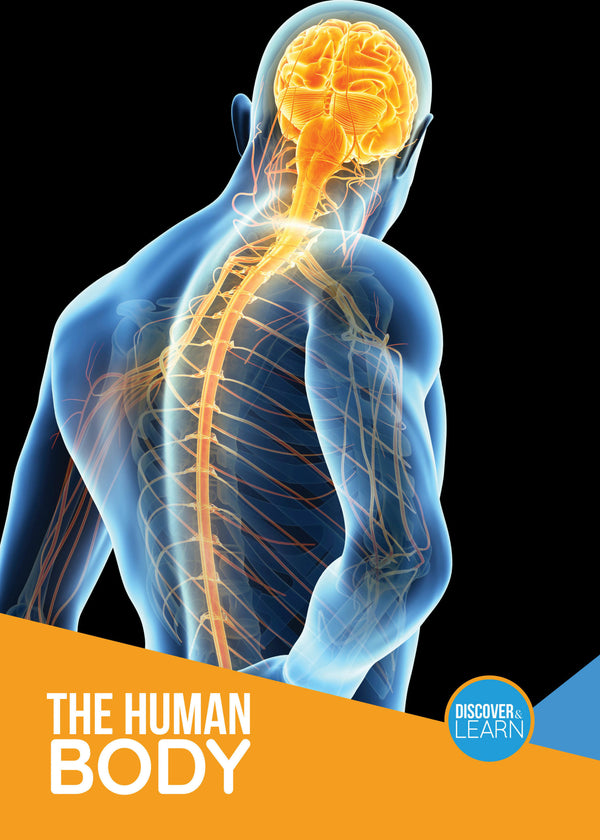 Discover and Learn: The Human Body - Hardcover