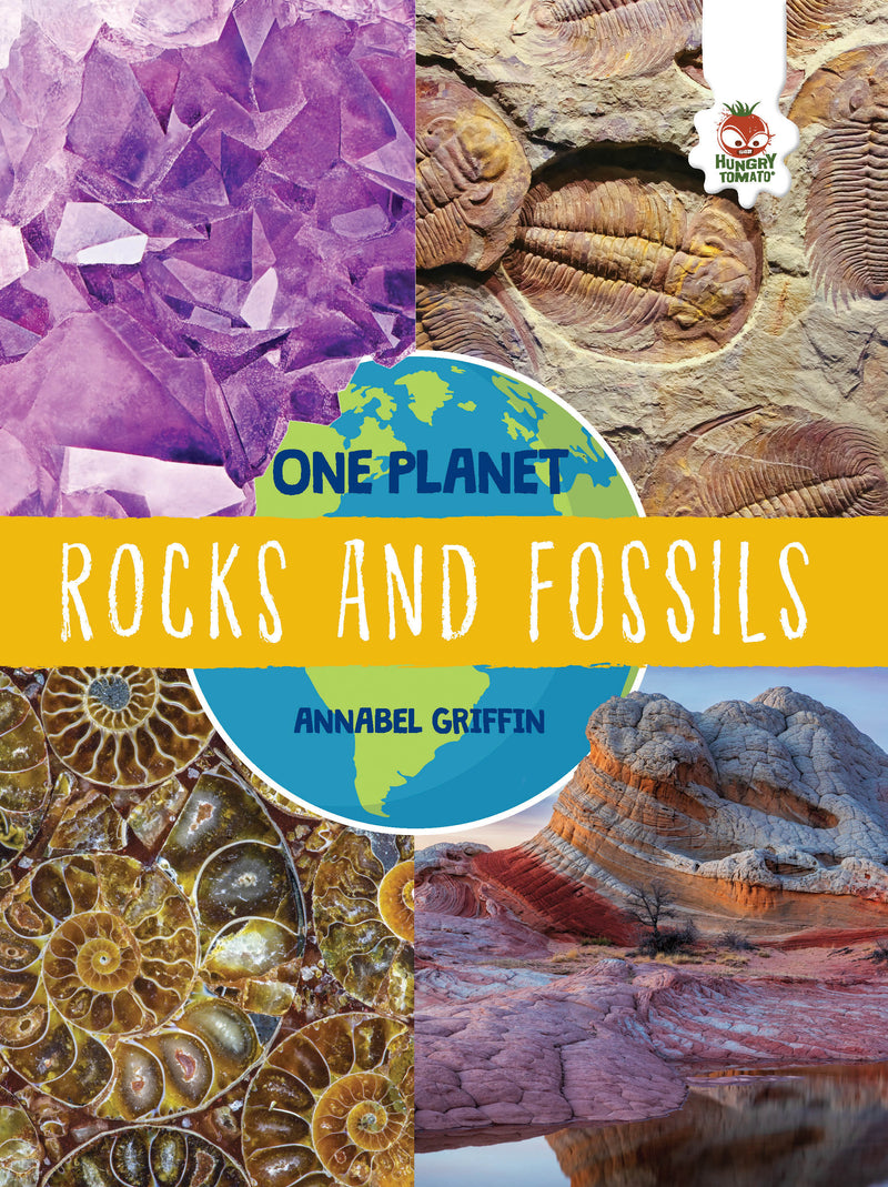 One Planet: Rocks and Fossils