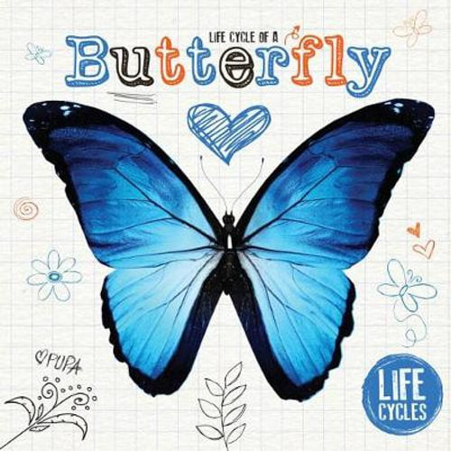 Life Cycles of a Butterfly